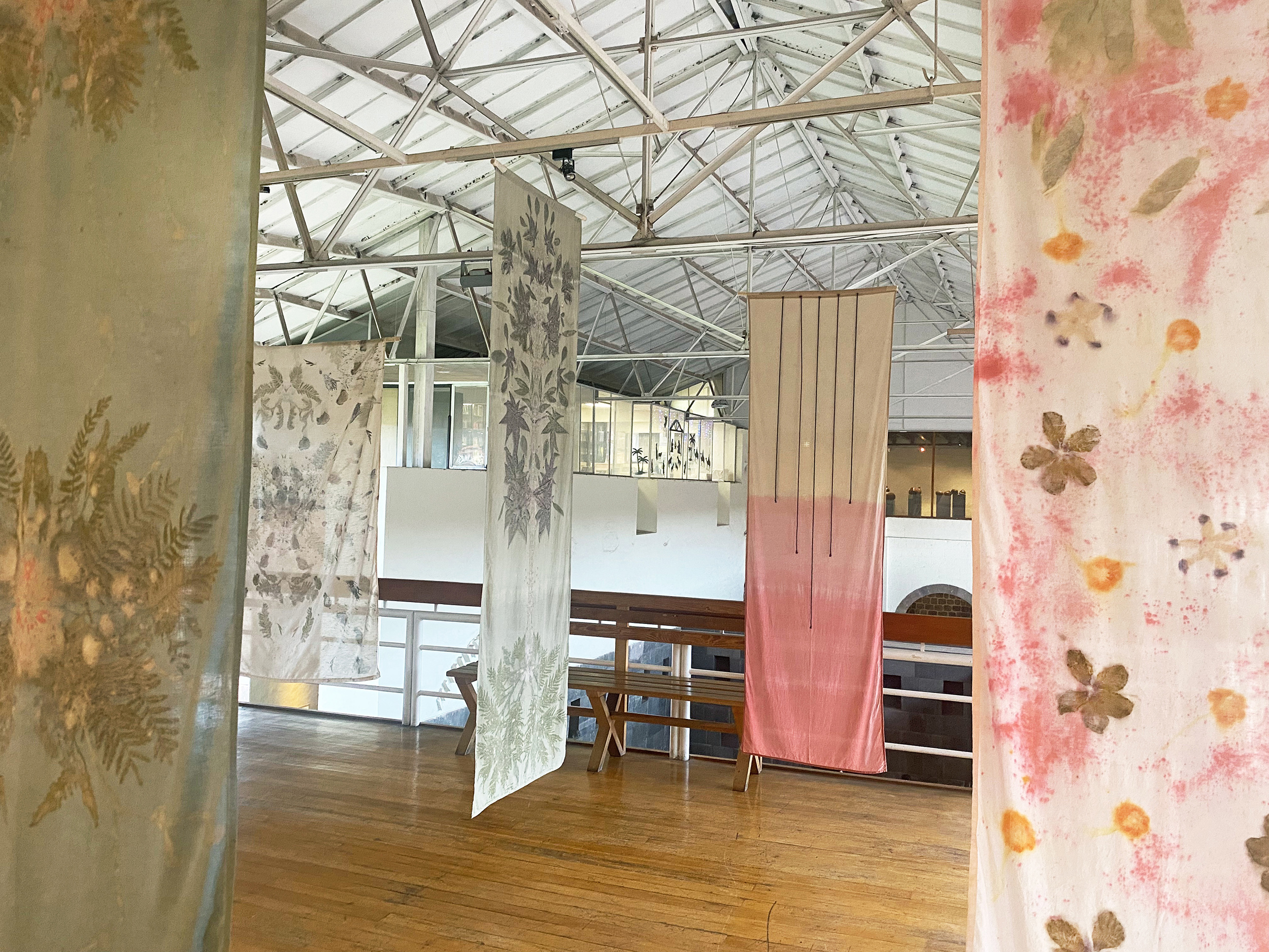 Impresiones del bosque