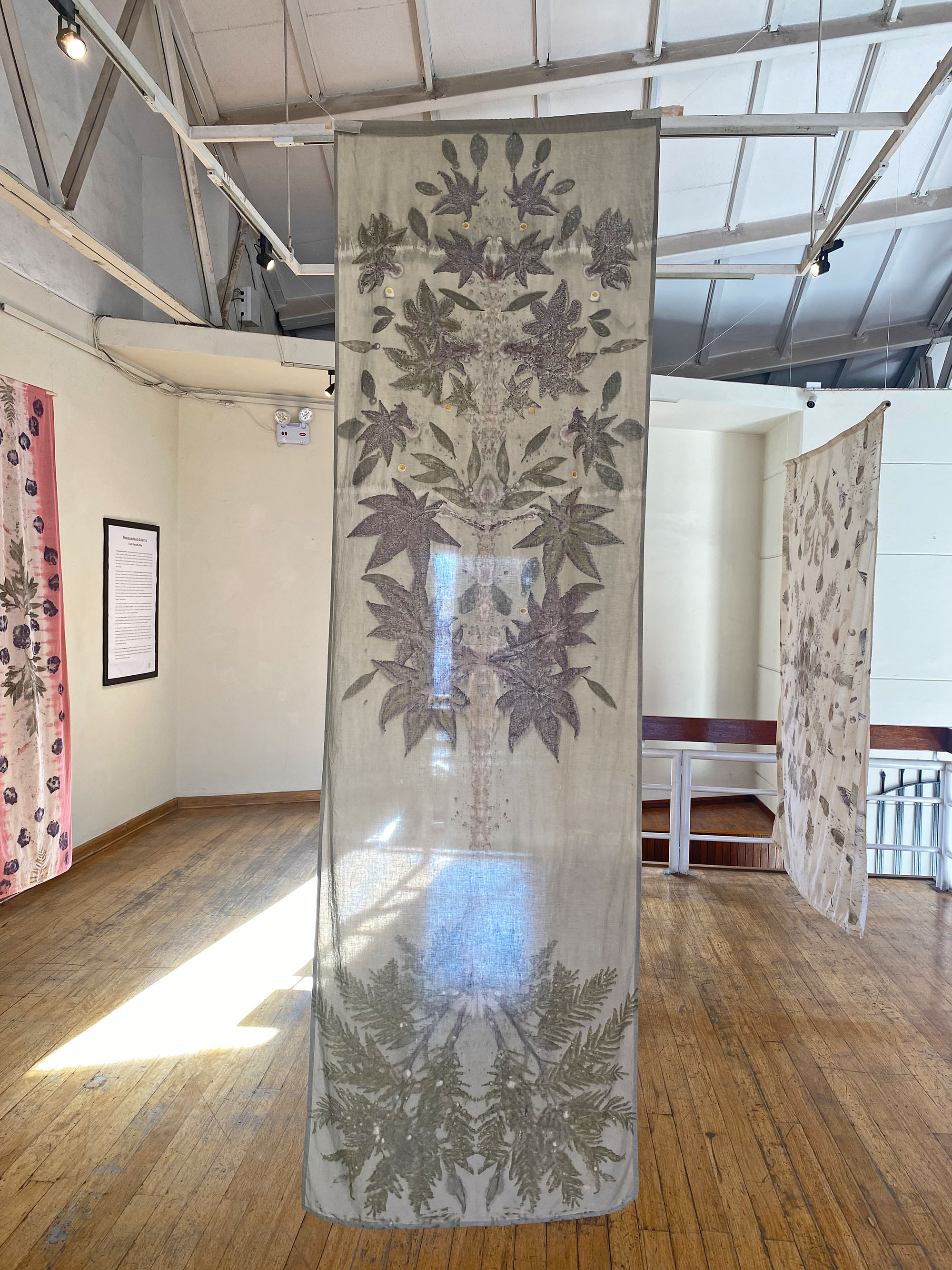 Impresiones del bosque