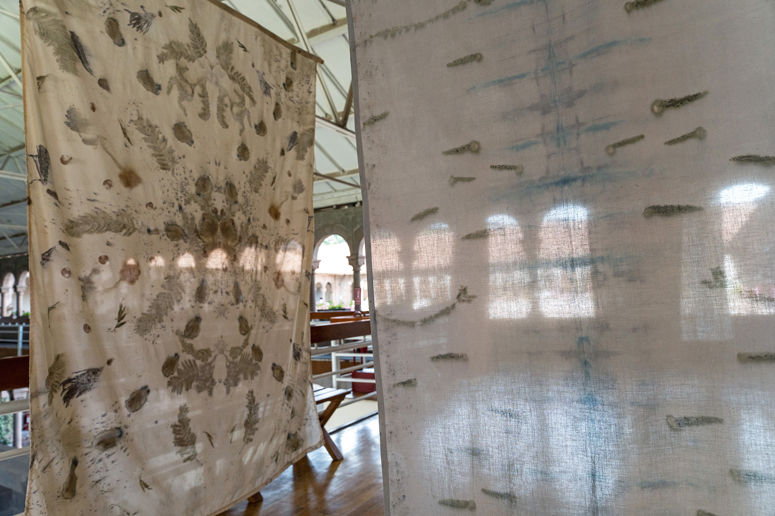 Impresiones del bosque