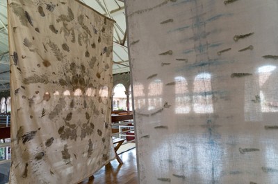 Impresiones del bosque