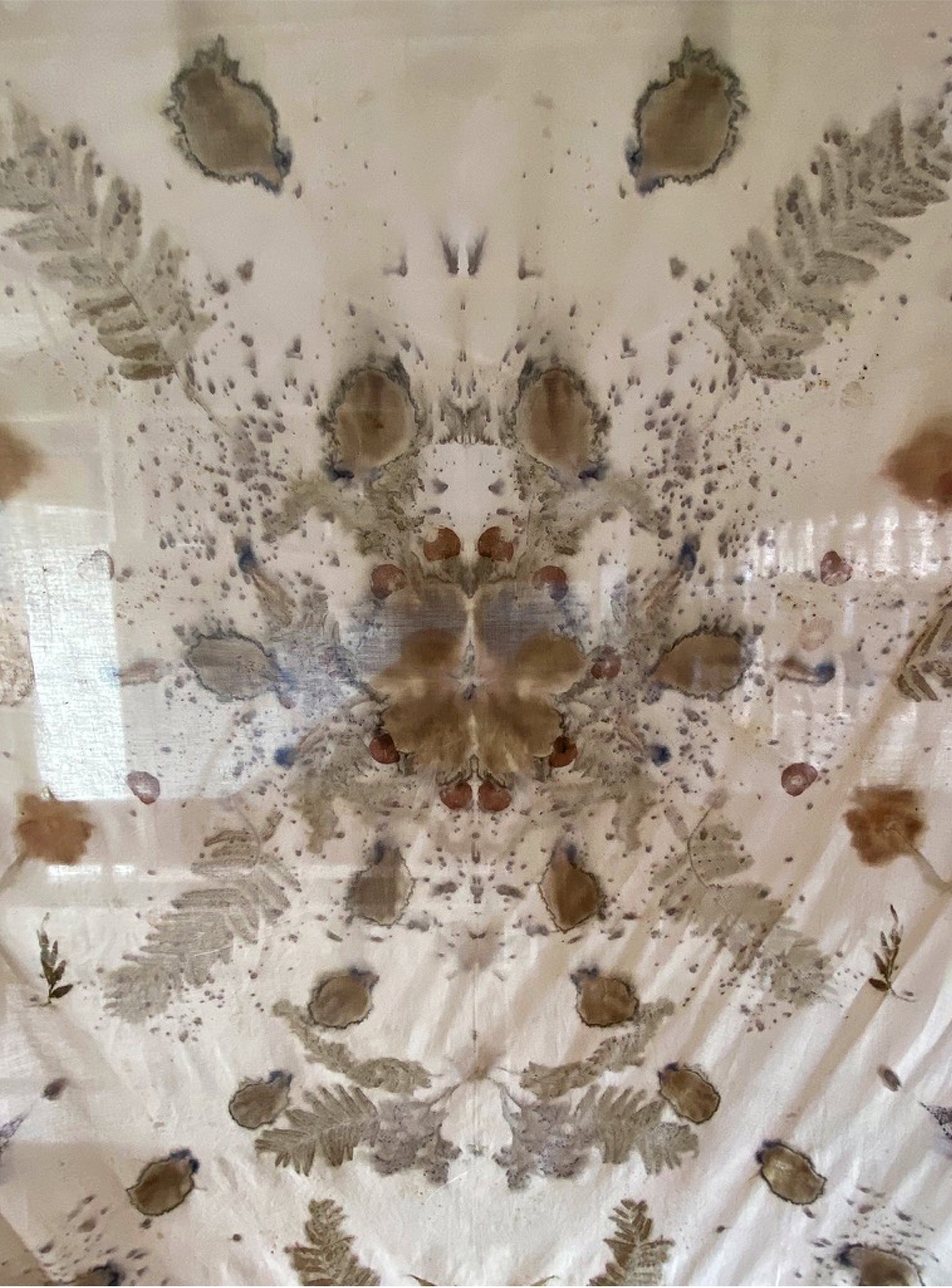 Impresiones del bosque