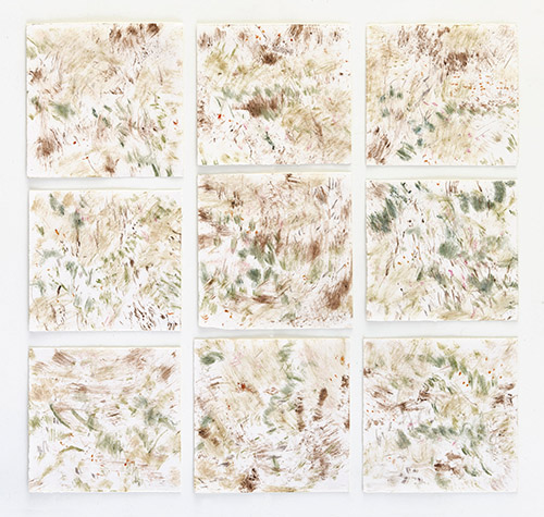 "SelvaAmazonica", Naturfarben auf Papier, 60 x 60 cm, 2018